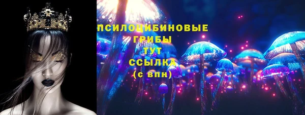 a pvp Новозыбков