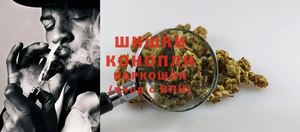 a pvp Новозыбков