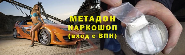 индика Новодвинск