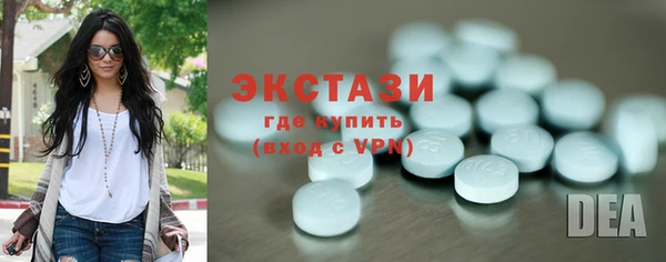 индика Новодвинск