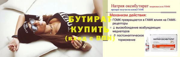 индика Новодвинск