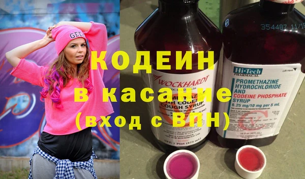 СК Няндома