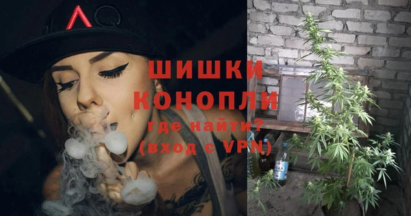 a pvp Новозыбков