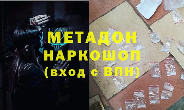 индика Новодвинск