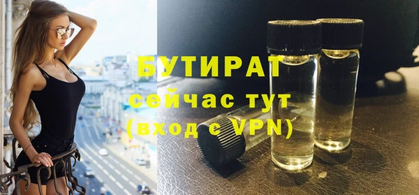 индика Новодвинск