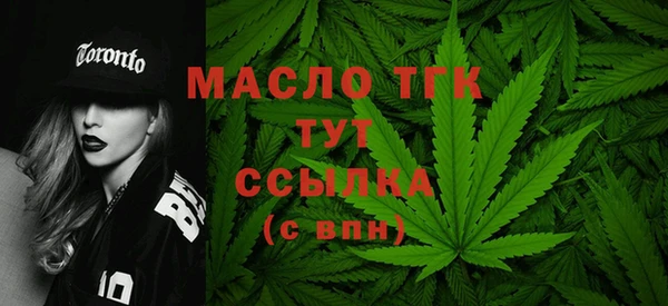 индика Новодвинск