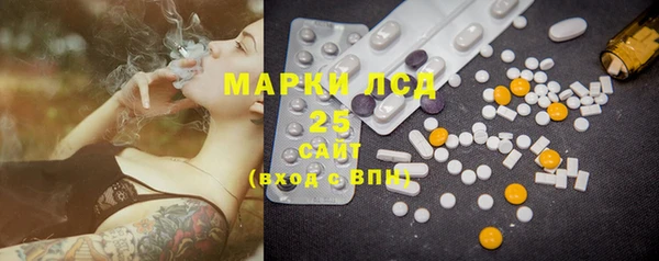 индика Новодвинск