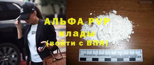 индика Новодвинск