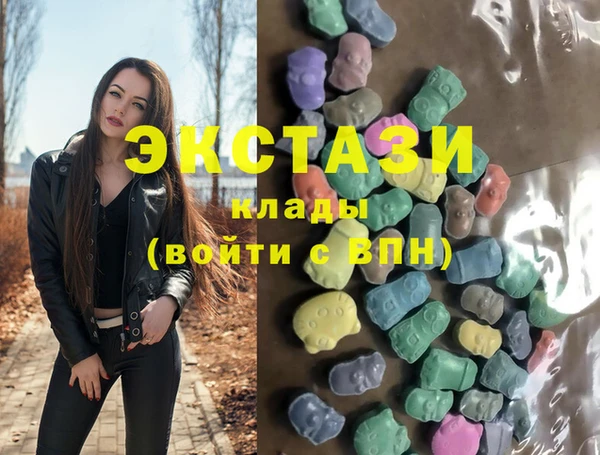 a pvp Новозыбков