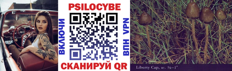 маркетплейс наркотические препараты  Миллерово  Псилоцибиновые грибы Psilocybe 