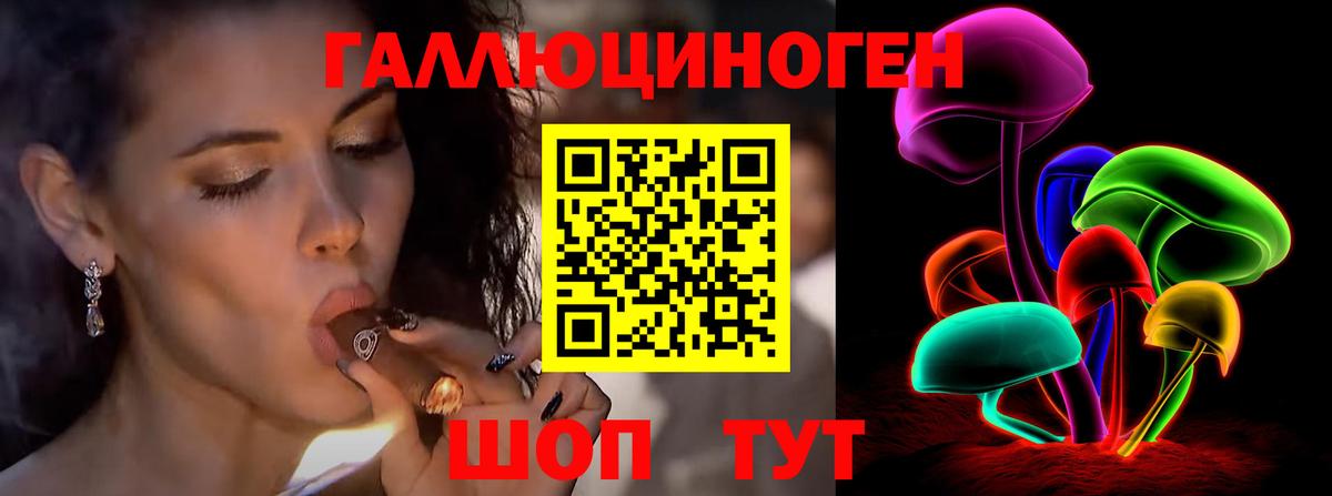 Галлюциногенные грибы Psilocybe Миллерово